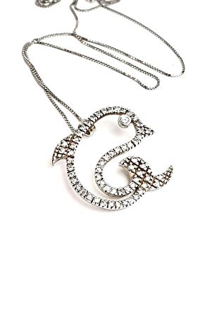 Zirkon taş detaylı 925 ayar gümüş balık kolye