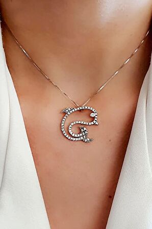 Zirkon taş detaylı 925 ayar gümüş balık kolye