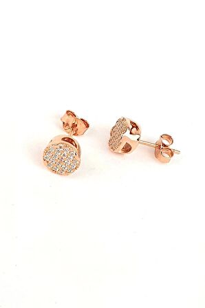 Zirkon Taş Detaylı 925ayar Gümüş Rose Küpe