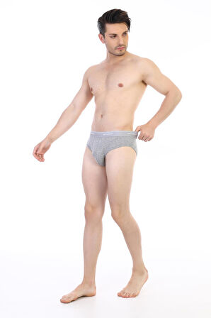 Erkek Ribana Klasik Gri Slip 870