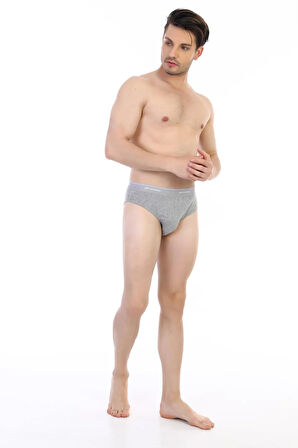 Erkek Ribana Klasik Gri Slip 870