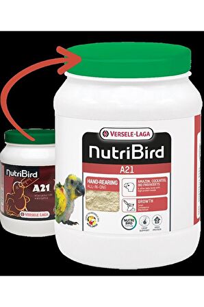 Versele Laga Nutribird A21 Sade 800 Gr Papağan Yemi 