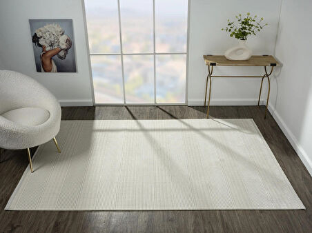 Zenith Zn007a Gri Halı Çizgi Desenli Modern Yumuşak Kadife Ince Antialerjik Salon Koridor Halısı