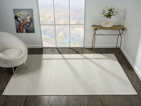 Zenith Zn007a Gri Halı Çizgi Desenli Modern Yumuşak Kadife Ince Antialerjik Salon Koridor Halısı