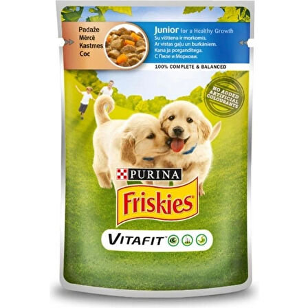 Tavuklu Ve Havuçlu Yaş Köpek Maması 100gr X 20 Adet