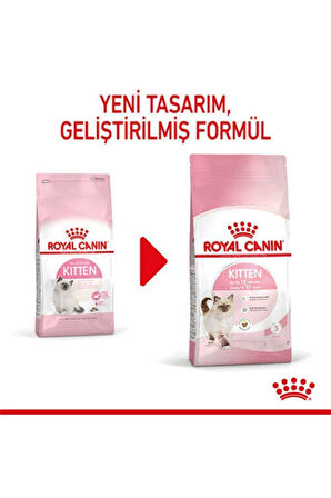 Cat Fhn Kitten Kedi Maması 4kg