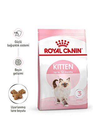 Cat Fhn Kitten Kedi Maması 4kg