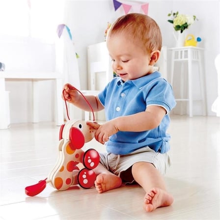 Hape Pepe Ve Arkadaşları Çek Çek