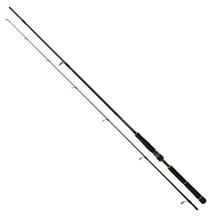 Daiwa Bg Seabass 2.72m, 14-42gr 2p Spin Olta Kamışı