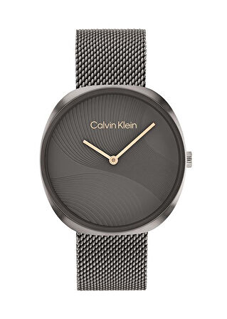 Calvin Klein CK25200248 Kadın Kol Saati