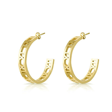 Freelook FRJ.3.5005.2 Kadın Çelik Küpe