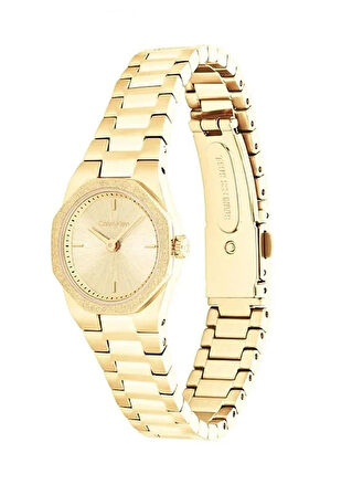Calvin Klein CK25100142 Kadın Kol Saati