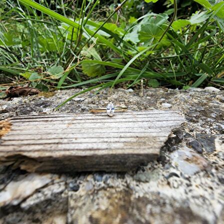 0,50CT Mekik Pırlanta(Sıgnty)Tektaş Modern Tasarım 14 Ayar Altın Yüzük-Pırlanta Tektaş Altın Yüzük