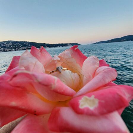 Love Kalp Tektaş Minimal Estetik 14 Ayar Altın Yüzük-Hediye Tektaş Düz Kol Minik Taşlı Altın Yüzük