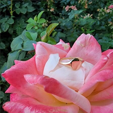 Sevda Mührü Kişiselleştirilebilir 14 Ayar Altın Yüzük-Harf Ve Tarih Yazılabilir Hediye Altın Yüzük