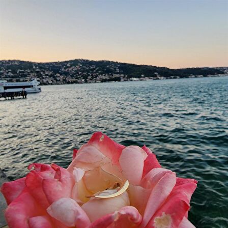 Yay 14 Ayar Altın Yüzük-Yay Taşsız Spor Tasarım Yüzük-Taşsız Hediye Modern Tasarım 14 Ayar Yüzük