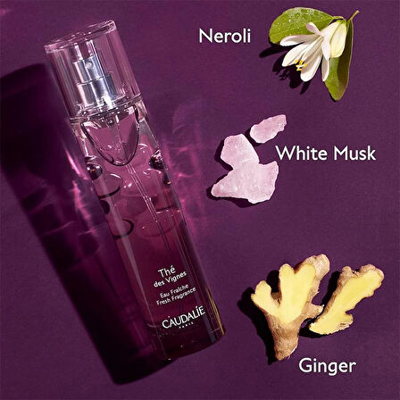 Caudalie – Thé des Vignes Eau Fraîche (50 ml)