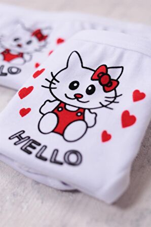 Gümüş Kız Çocuk Hello Kitty Desenli Slip Külot