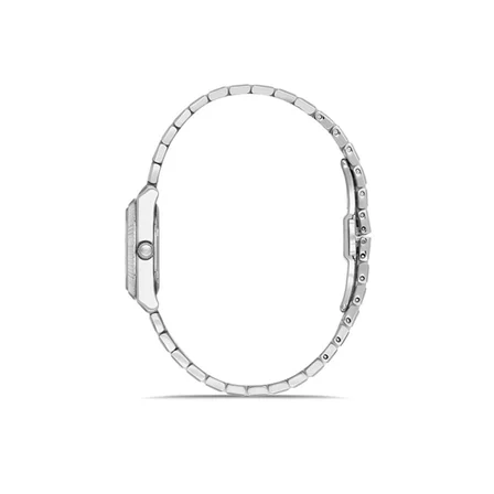 Momentus CS264S-02SS Erkek Kol Saati