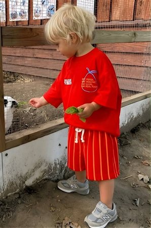 Erkek Çocuk Sırt Baskılı Tişört ve Şort Takım Kırmızı