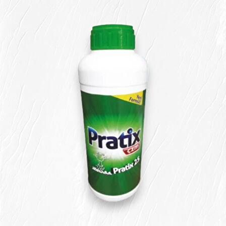 Pratix Çzm Harç & Beton Eritici 1000gr