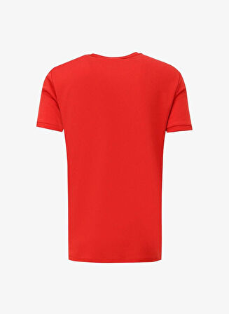 Bisiklet Yaka Kol Ucu Duble Slim Fit Erkek T-shirt