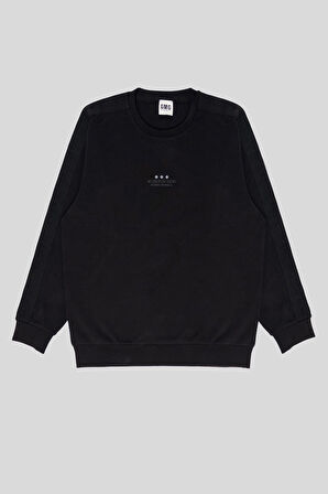 Bisiklet Yaka Kolları Şerit Detaylı Baskılı Erkek Sweatshirt