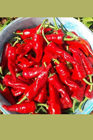 Ev Yapımı Gaziantep Acı + Tatlı Karışık Biber Salçası – %100 Doğal, Güneşte Kurutulmuş El Yapımı Salça, 1 Kg