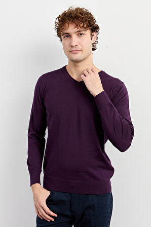 Erkek Basic V Yaka İnce Triko Kazak Mor