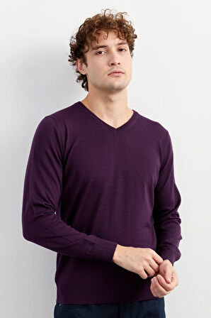Erkek Basic V Yaka İnce Triko Kazak Mor