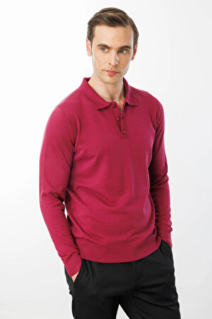 Erkek Basic Polo Yaka İnce Triko Kazak Sıklamen