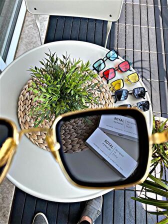 ROYAL EYEWEAR EX657 BLACK BROWN GÜNEŞ GÖZLÜĞÜ