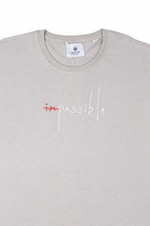 IMPOSSIBLE t-shirt GREY