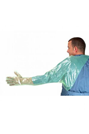 Rektal Muayene Eld.omuza Geçmeli