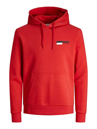 Jack&Jones Essentıals Jjecorp Logo Sweat Hood Play Noos Erkek Sweatshirt 12233599