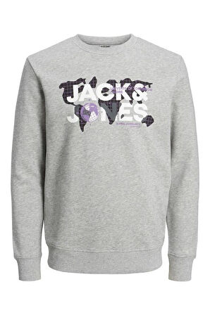 Jack&Jones Core Jcodust  Erkek Sweatshirt 12240211
