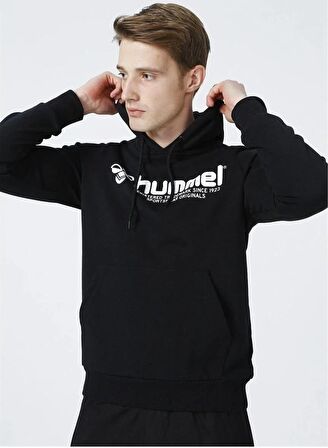 Hummel Regow Hoodıe Erkek Sweatshirt 920894-2001