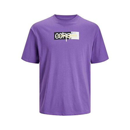 Jack&Jones Core Jcoaop Prınt Tee Ss Crew Neck Erkek T-Shirt 12253477