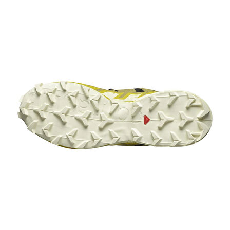 Salomon Speedcross 6 Erkek Outdoor Ayakkabı L47301500
