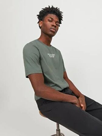 Jack&Jones Premıum Jprbluarchıe Ss Tee Crew Neck  Erkek T-Shirt