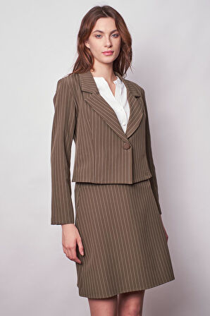 Kadın Çizgili Yakalı Uzun Kol Hafif Likralı Kumaş Kısa Blazer Ceket-Haki Çizgi