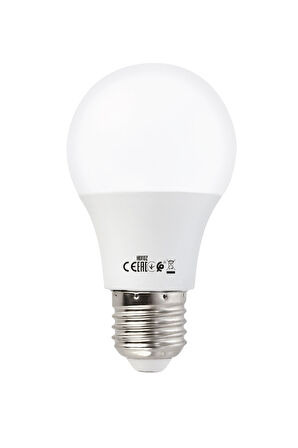 HOROZ (EKOLA-9) 9 W LED AMPUL 2700K/6400K 1000 LÜMEN