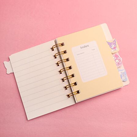 Sanrio Karakterler Mini Ayraçlı Defter