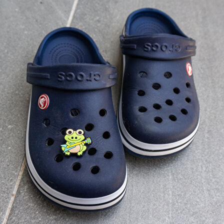 Sevimli Kurbağa Crocs Jibbitz Terlik Süsü