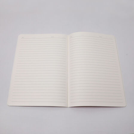 Anime  Kızlar  Çizgili Büyük Boy  Defter  36 Sayfa