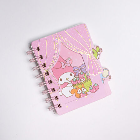 Sanrio Karakterleri Mini Defter Renkli Sayfalı