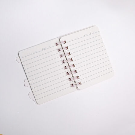 Sanrio Karakterleri Mini Defter Renkli Sayfalı