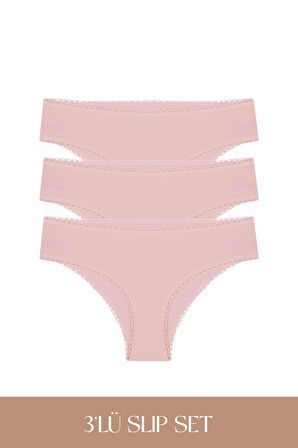 Cotvie Gül Kurusu Pamuklu Slip 3'lü Set Külot