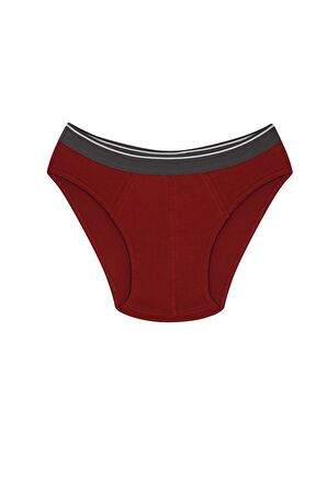 Akbeniz Erkek Pamuk Likralı Slip Bordo 40132