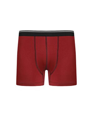 Akbeniz Erkek Pamuk Likralı Bordo 40133